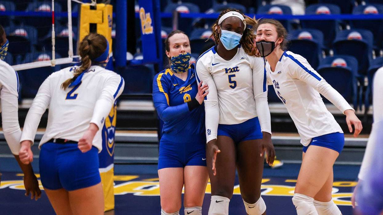 Pitt volleyball celebrating