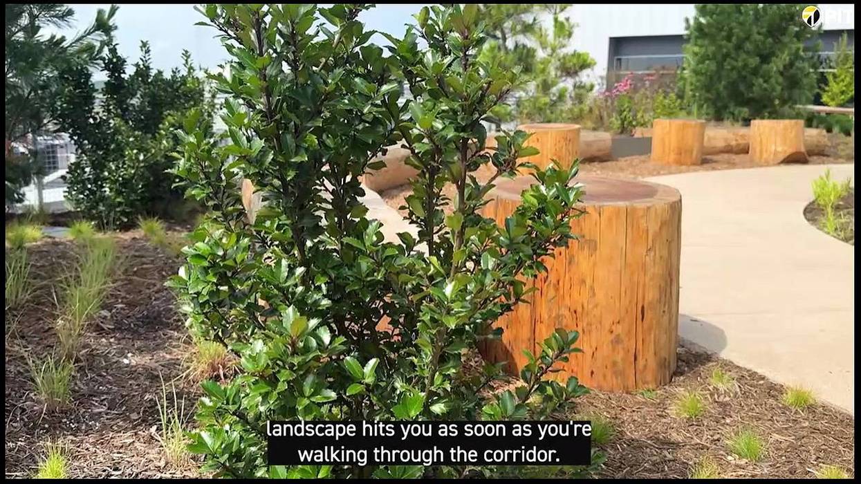 PIT Airport debuts new outdoor green space, UPMC Terrace