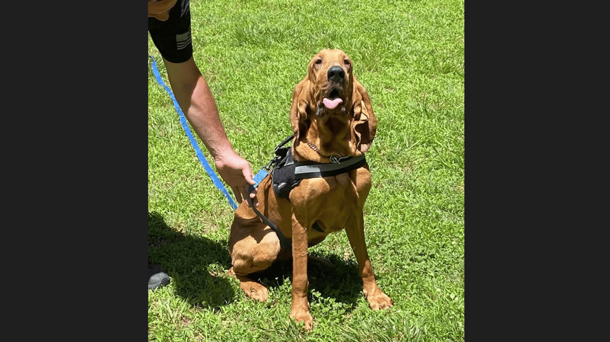 Pittsburgh Police K-9 Officer Oakley