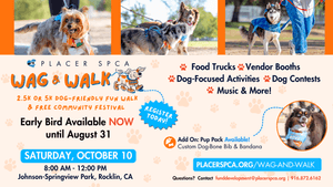Placer SPCA Wag & Walk