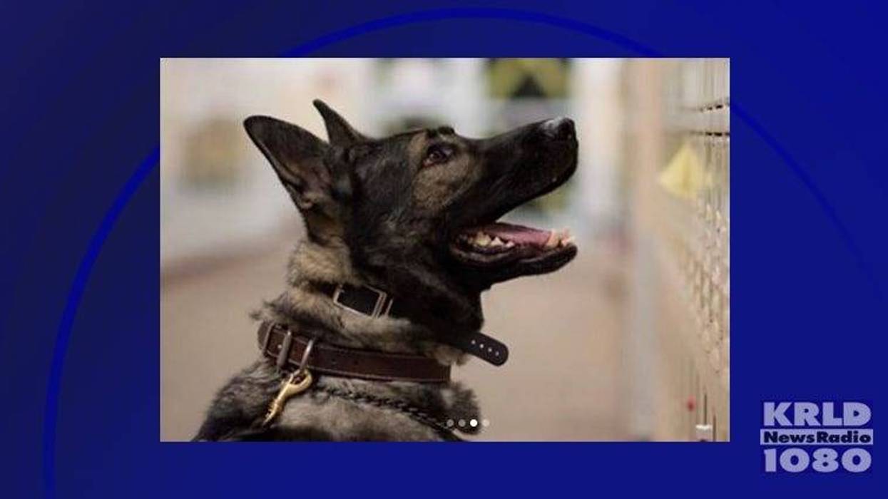 Plano Police K9 Dio