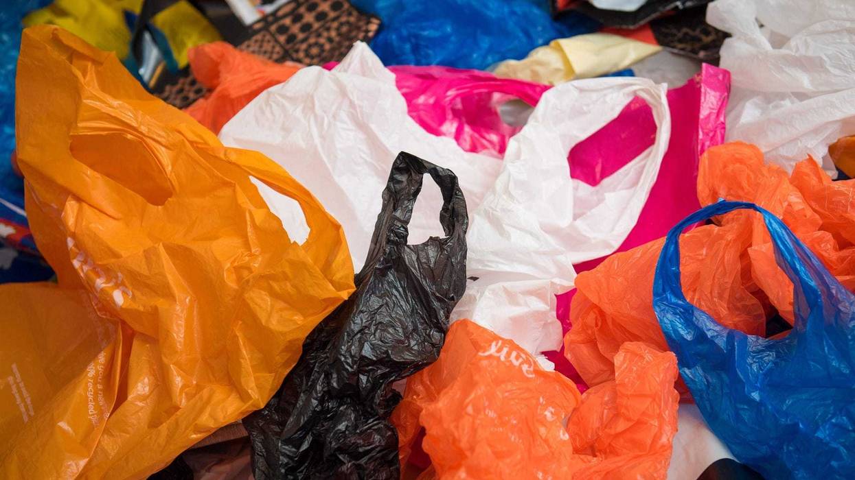 Plastic Bag
