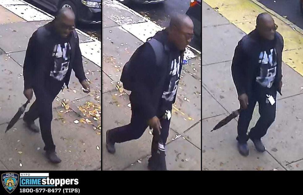 Police are searching for a man who they say tried to steal a dog from a 95-year-old woman on a Brooklyn street this week
