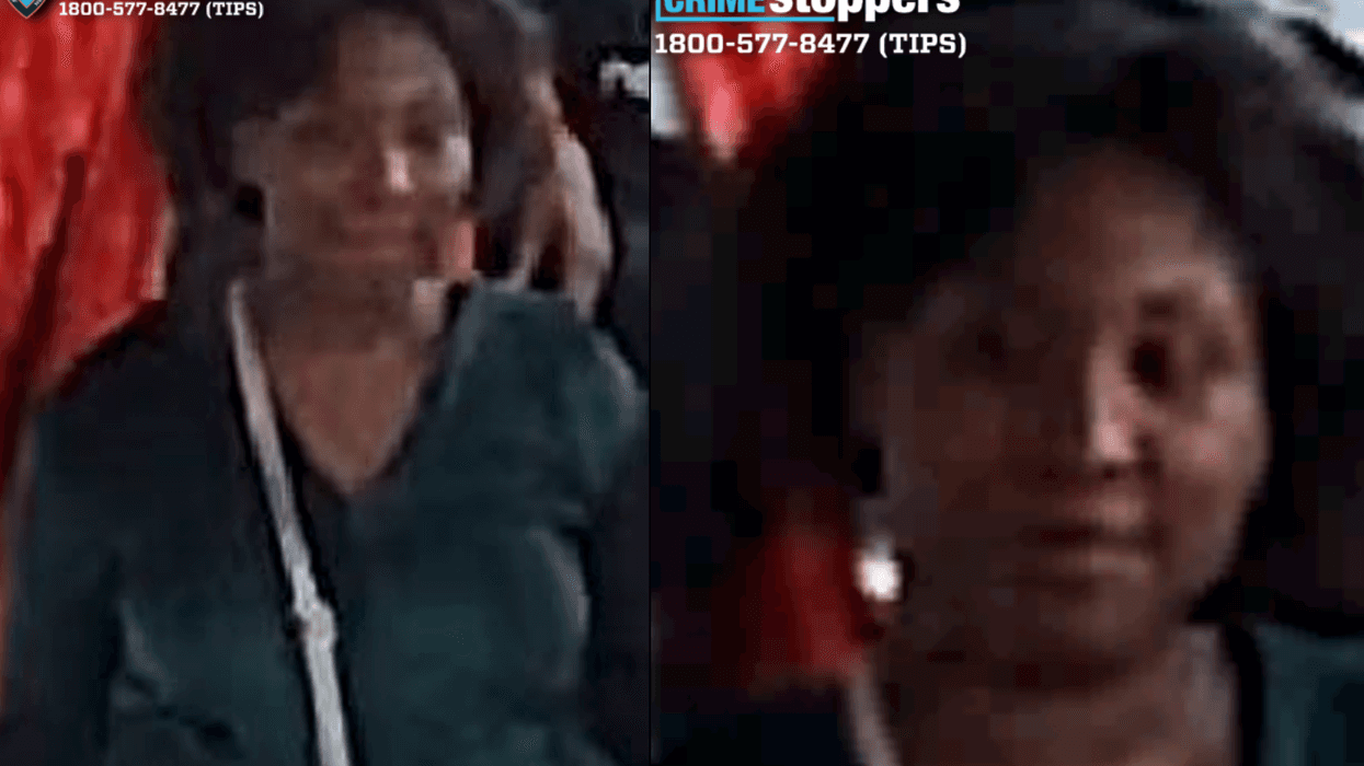 Police are searching for a woman in an unprovoked attack on the L train in Ridgewood