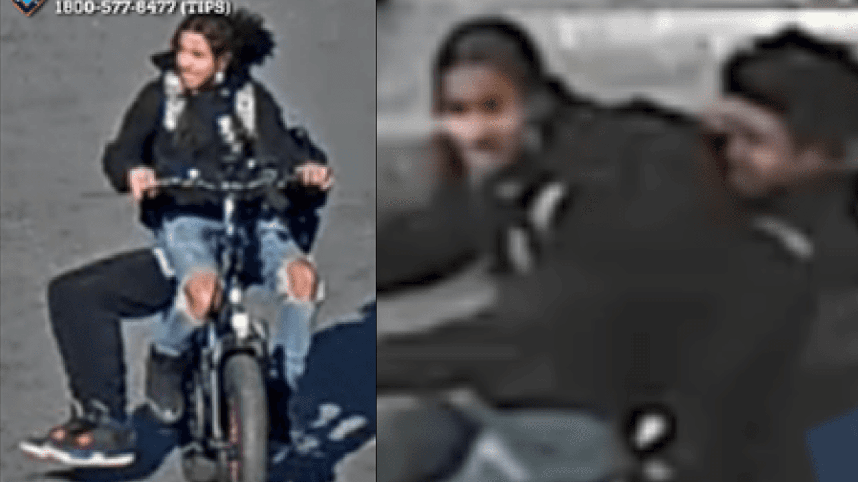 Police are searching for two suspects in the robbery of a woman in Central Park on Nov. 5