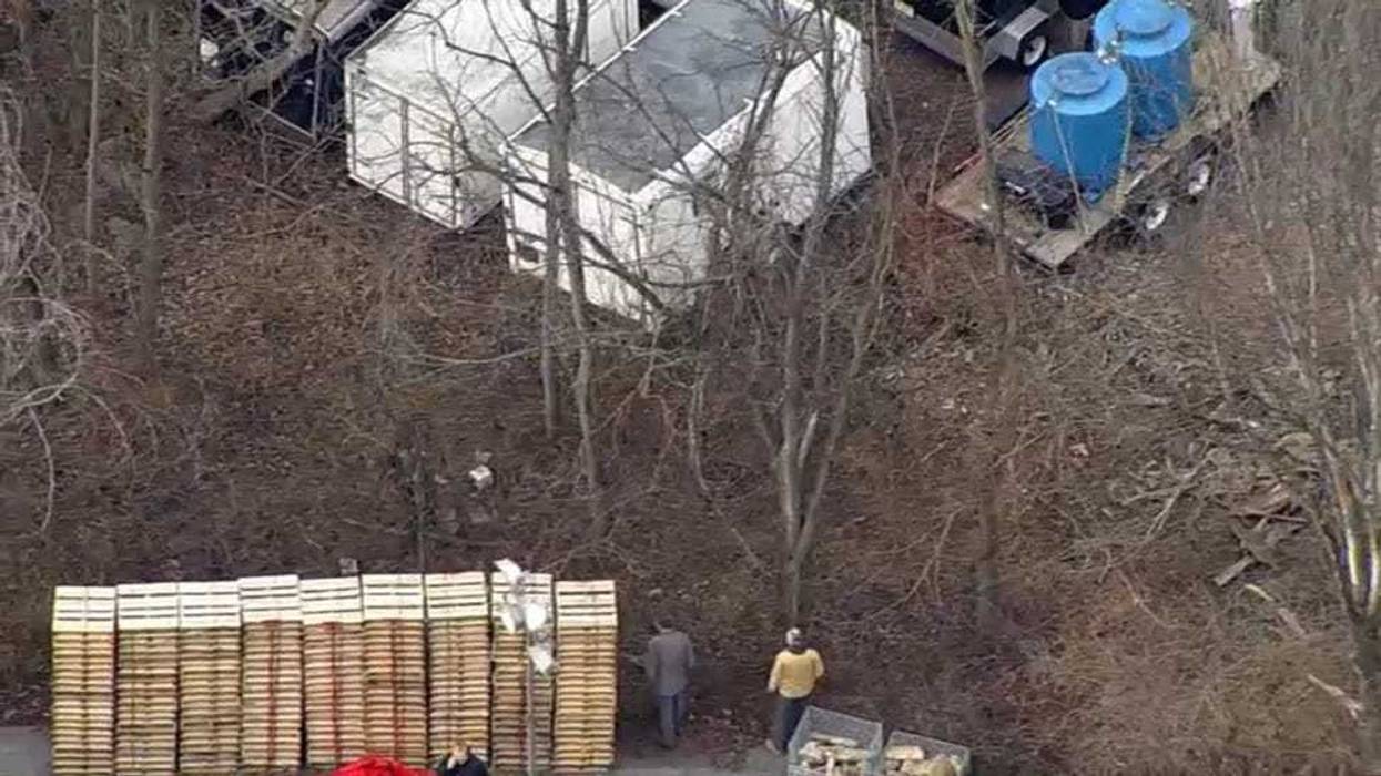 Police are seen searching a wooded area behind a warehouse in Royesford, Pa.