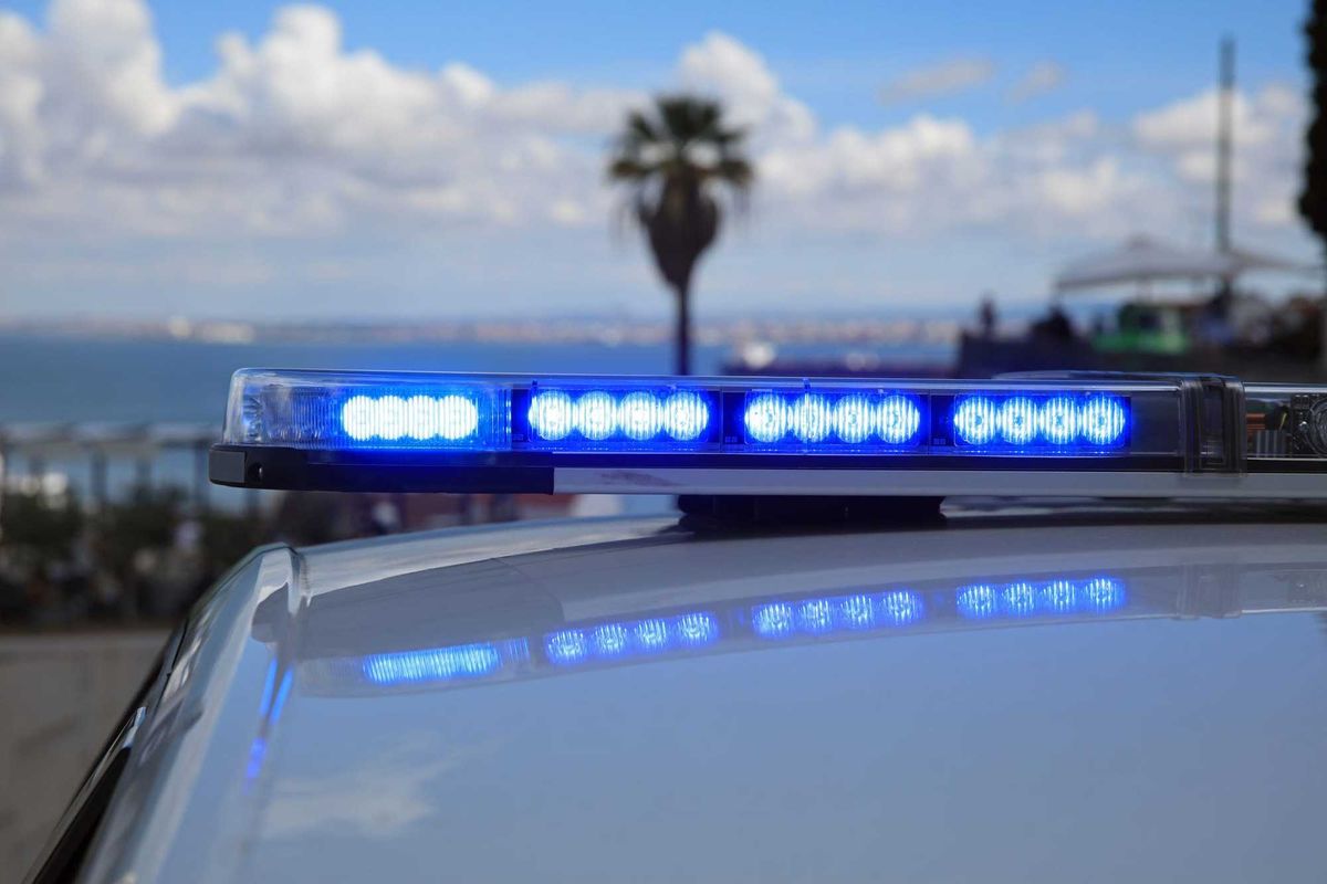 police car and palm tree