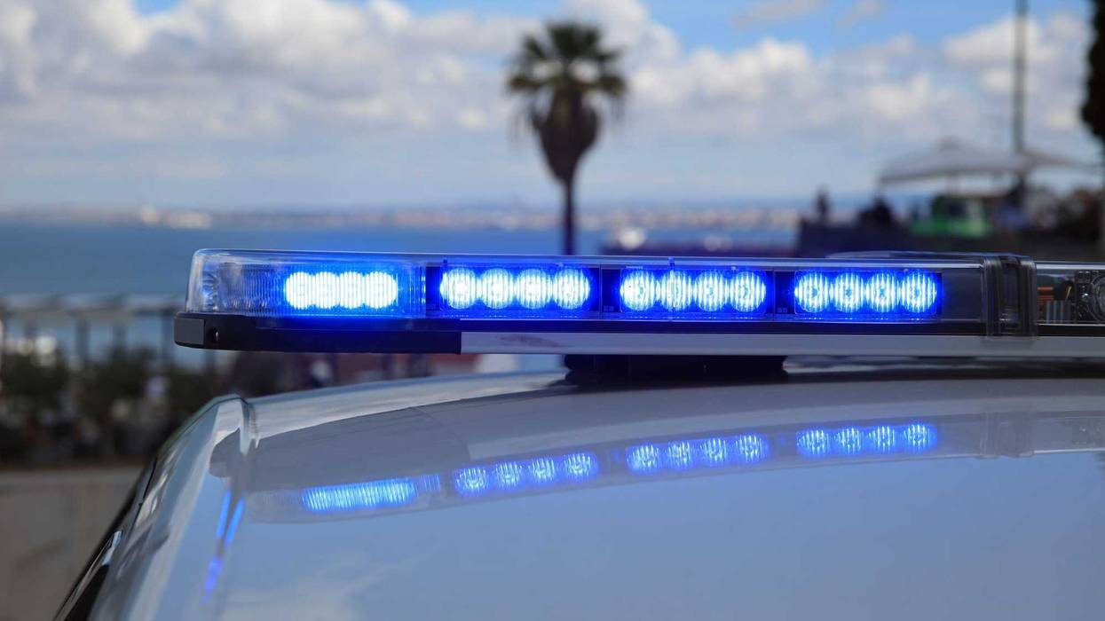 police car and palm tree