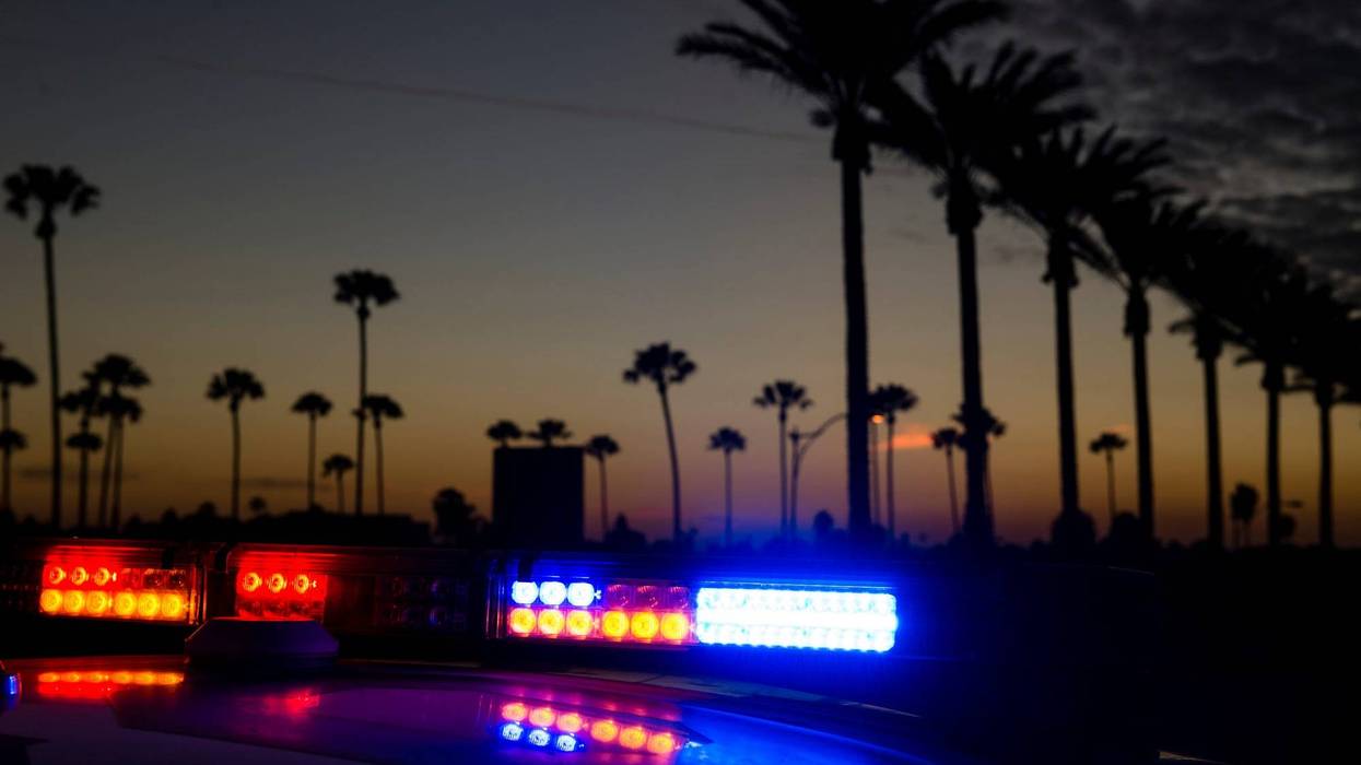 police car palm trees