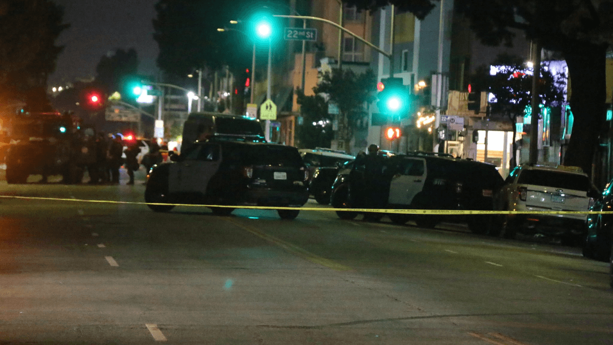 police cars in street