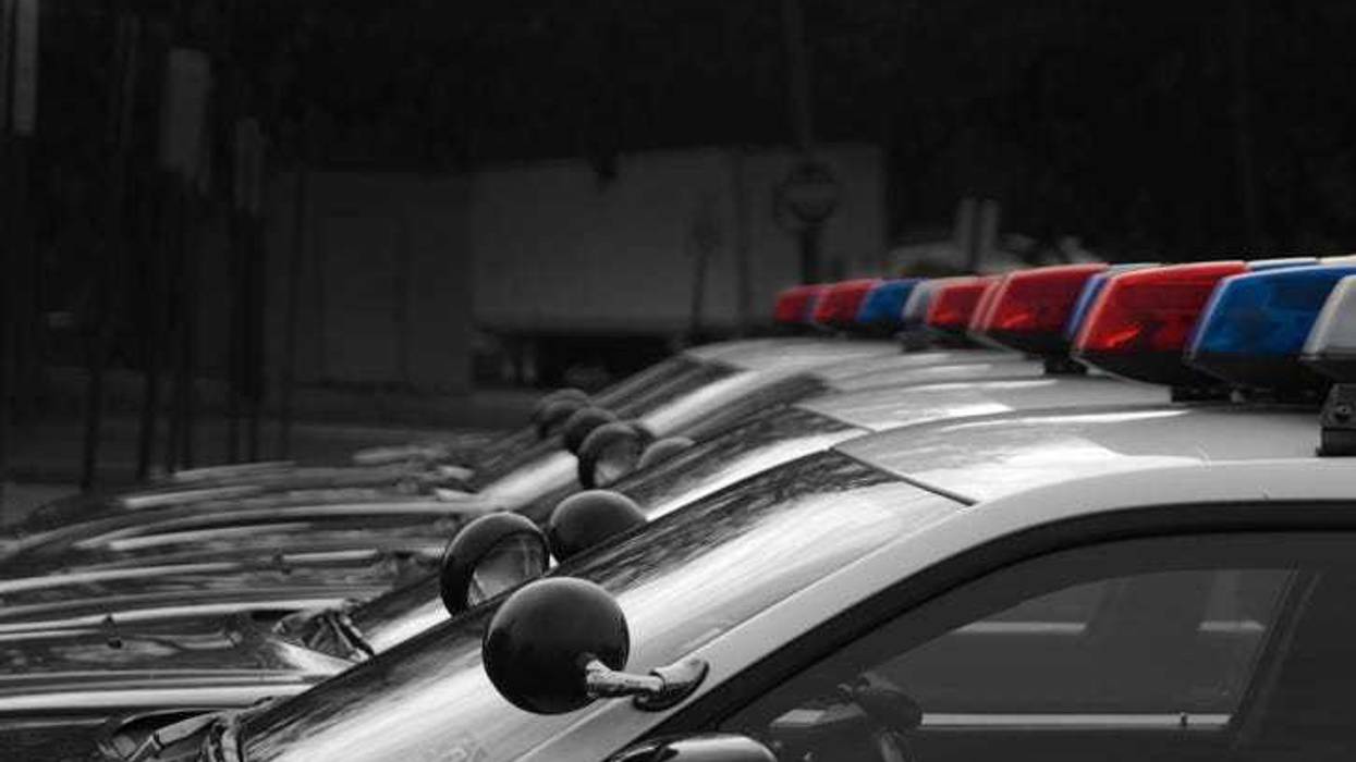 Police cars lined up.