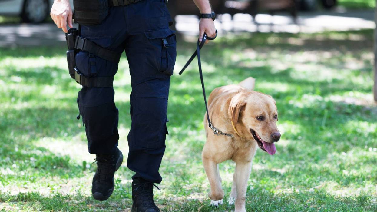 Police dog finds child porn at Wisconsin judge’s home