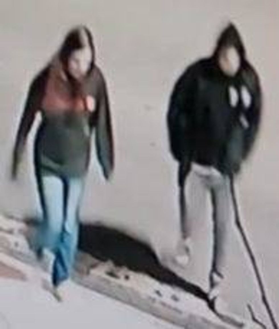Police in the Upper Peninsula say they