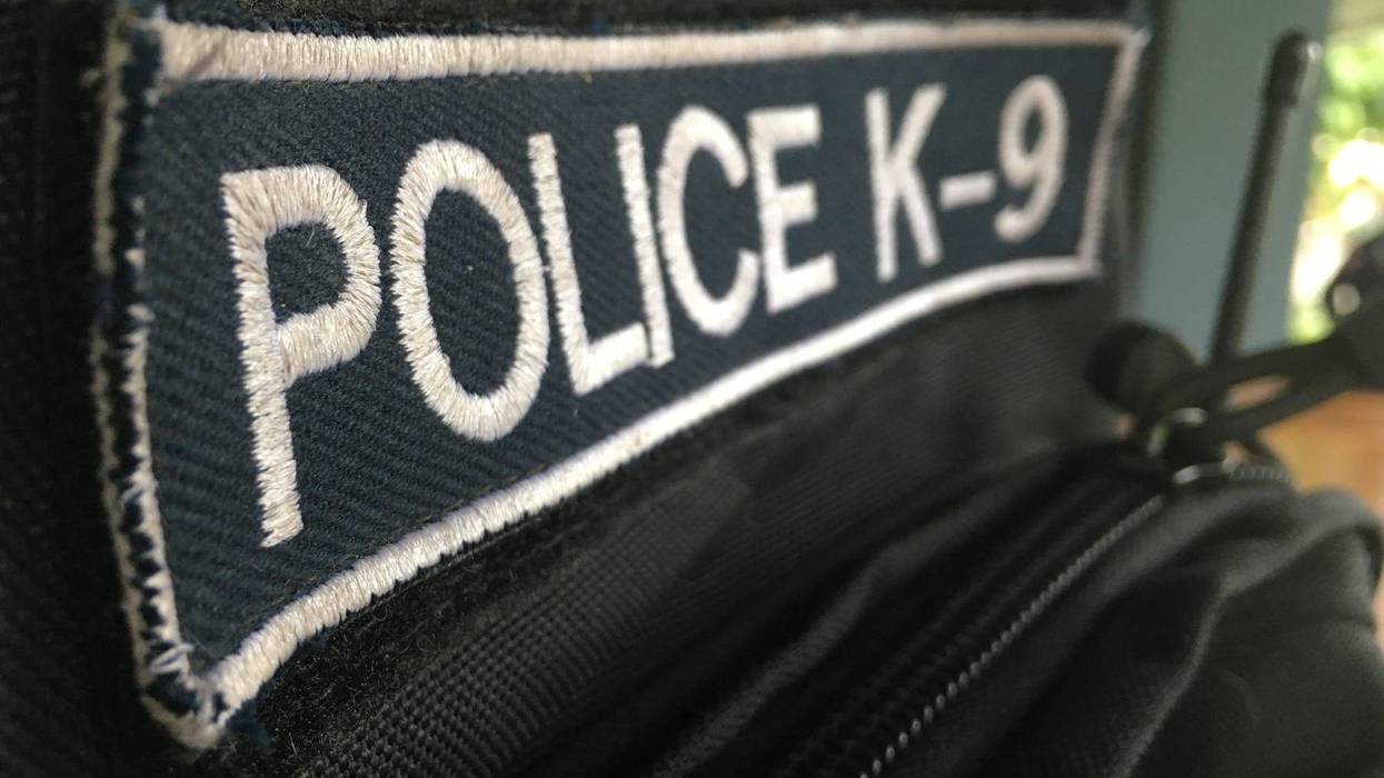 Police K-9 badge on vest