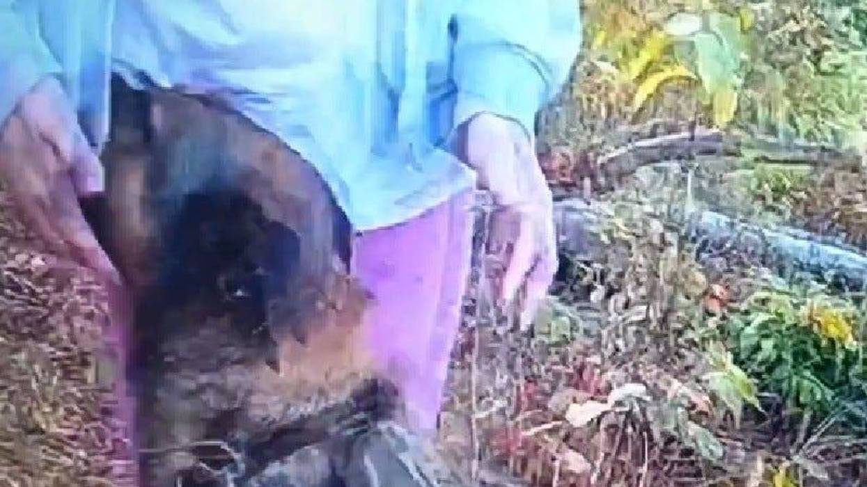Police K9 Ox greets missing 15-year-old in the woods