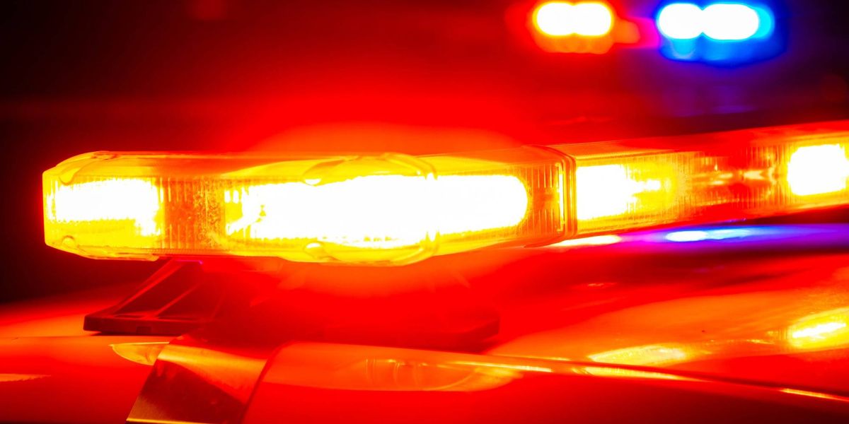 Police investigating string of weekend vehicle burglaries in Georgetown, including stolen weapons