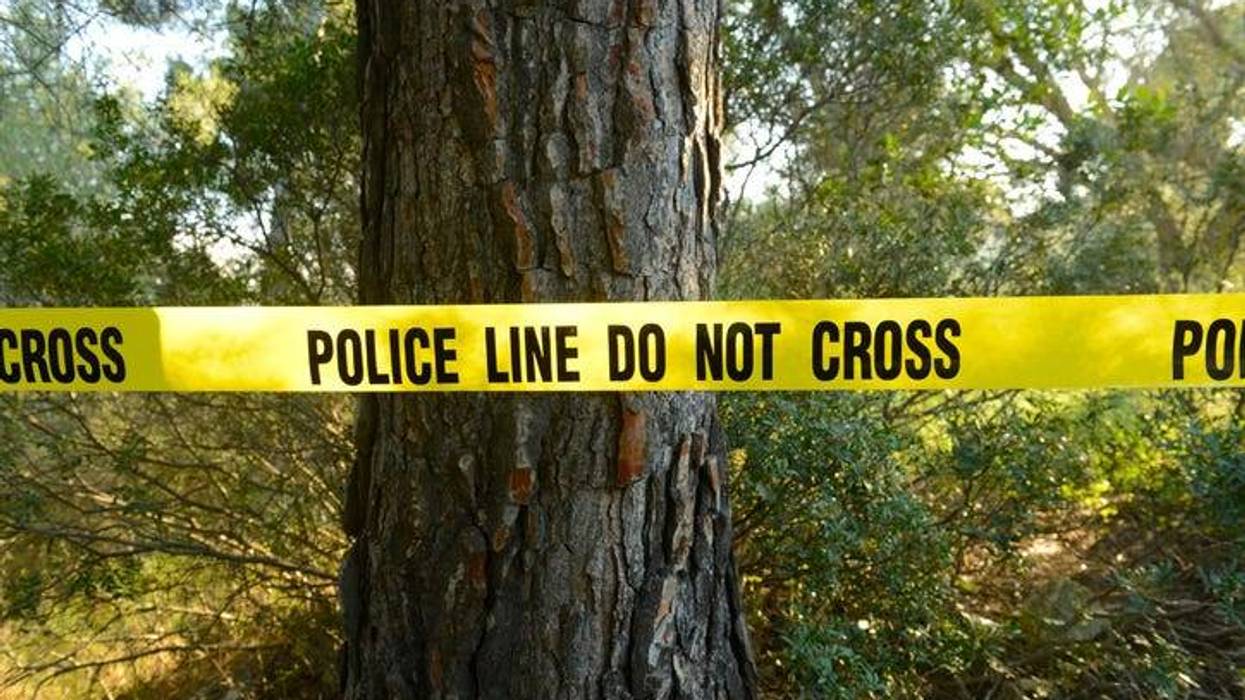 police line on a tree