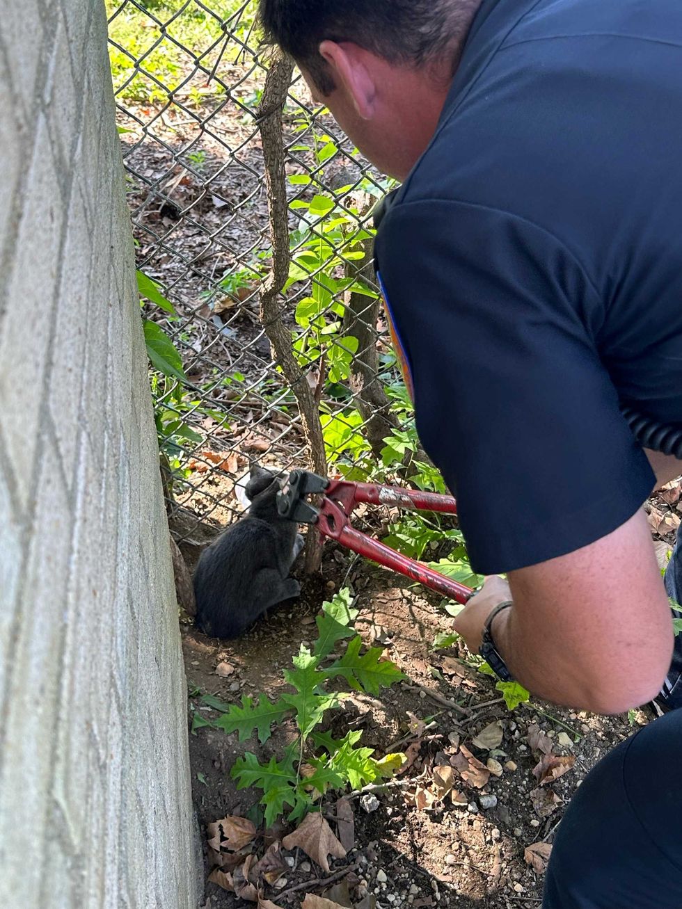 Police officer cutting the metal fence to rescue a cat on Long Island on Oct. 5, 2023.