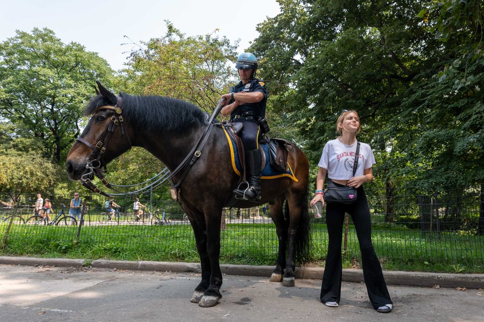 Police on horseback pause in a staging area in Central Park following a series of muggings at the park on August 15, 2024
