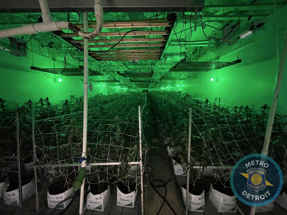 Police raided this marijuana grow operation in Highland Park.