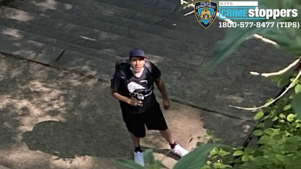 Police said this man was throwing rocks at a family in an Upper Manhattan park on June 5 when he struck a mom and her baby boy