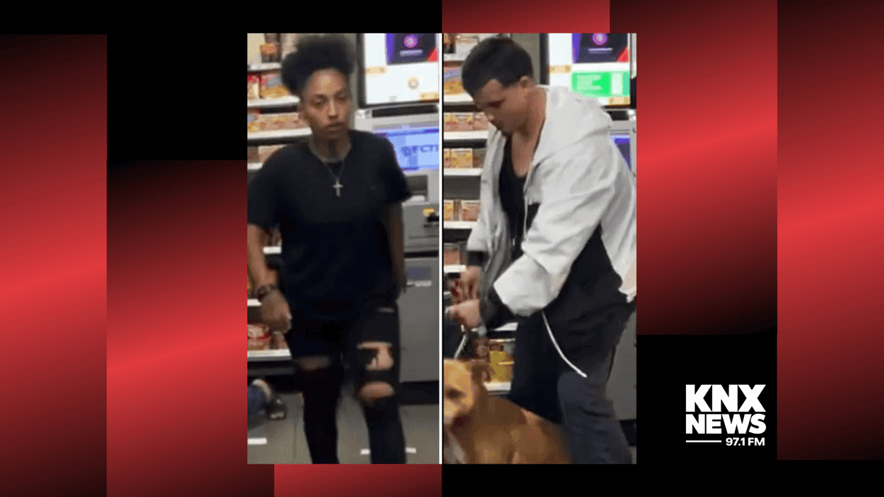 Police searching for second suspect in connection to the dognapping in North Hollywood.