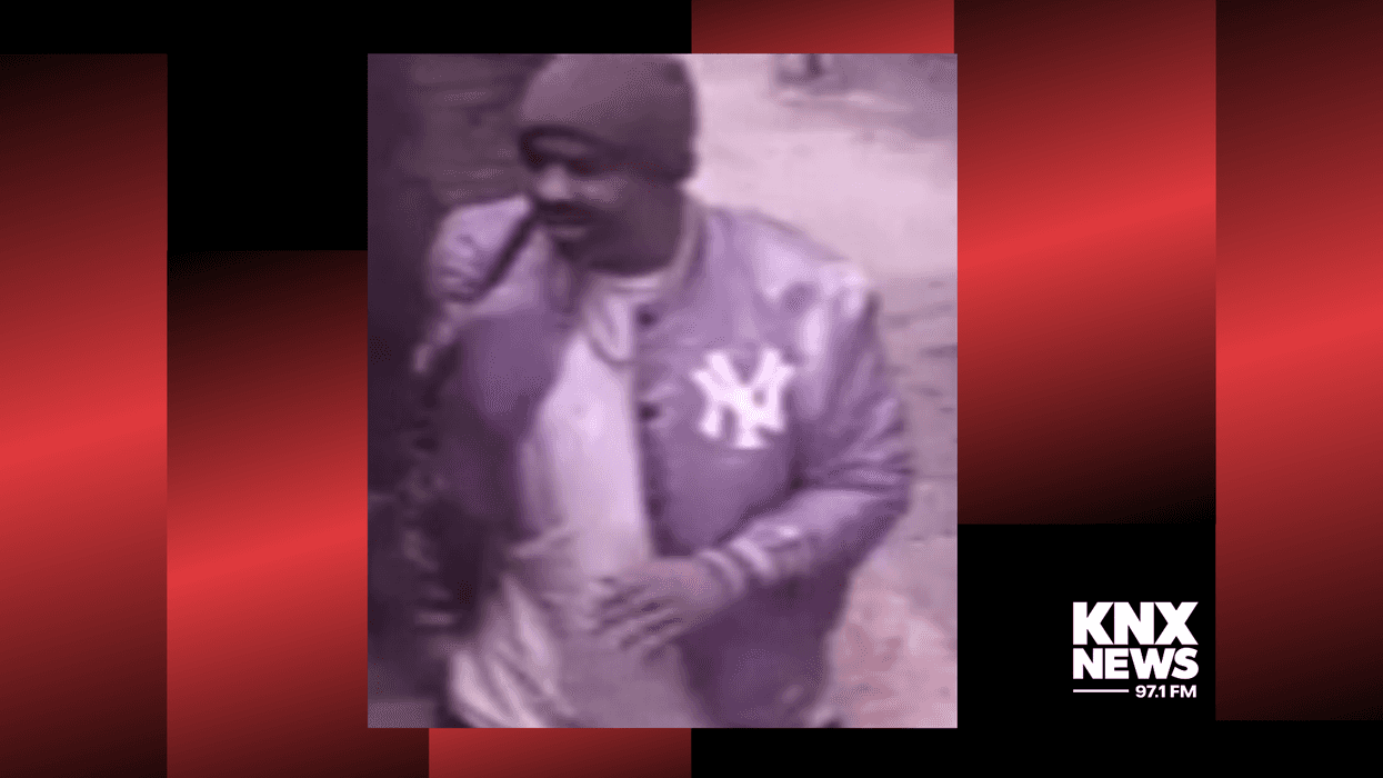 Police Seeking Help to Find Second Suspect in Attack on 86-Year-Old Woman