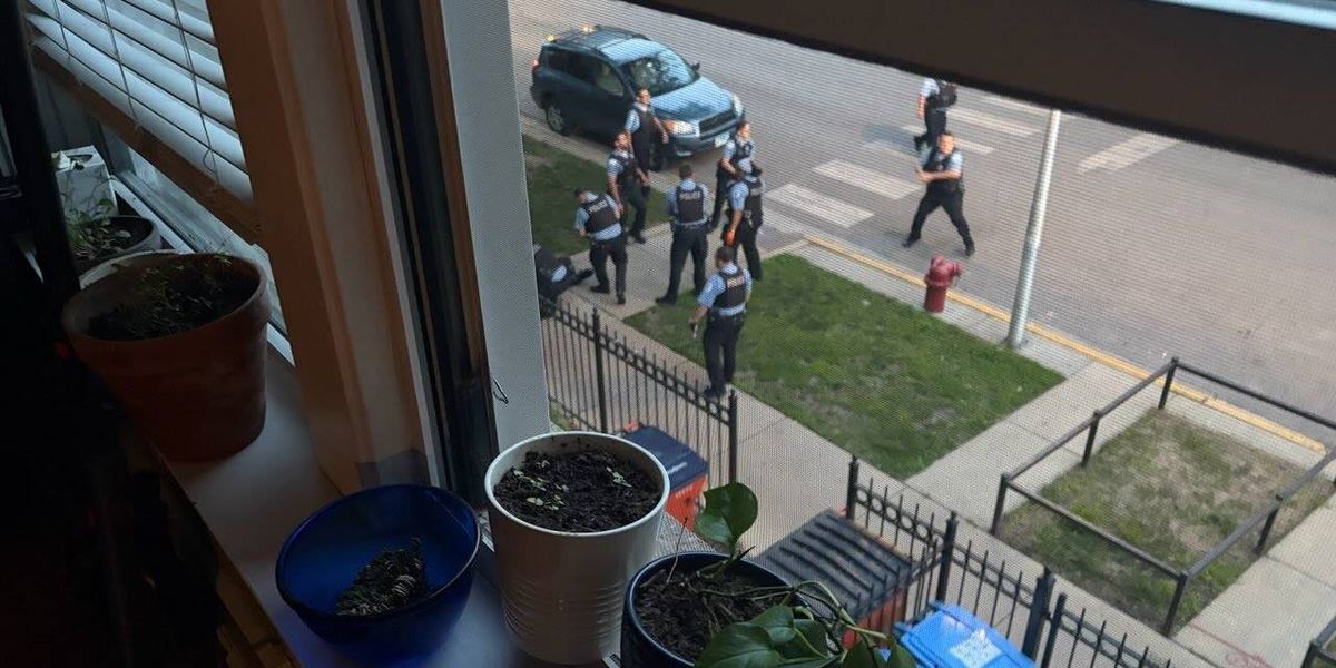 Chicago Police shoot suspect in killing