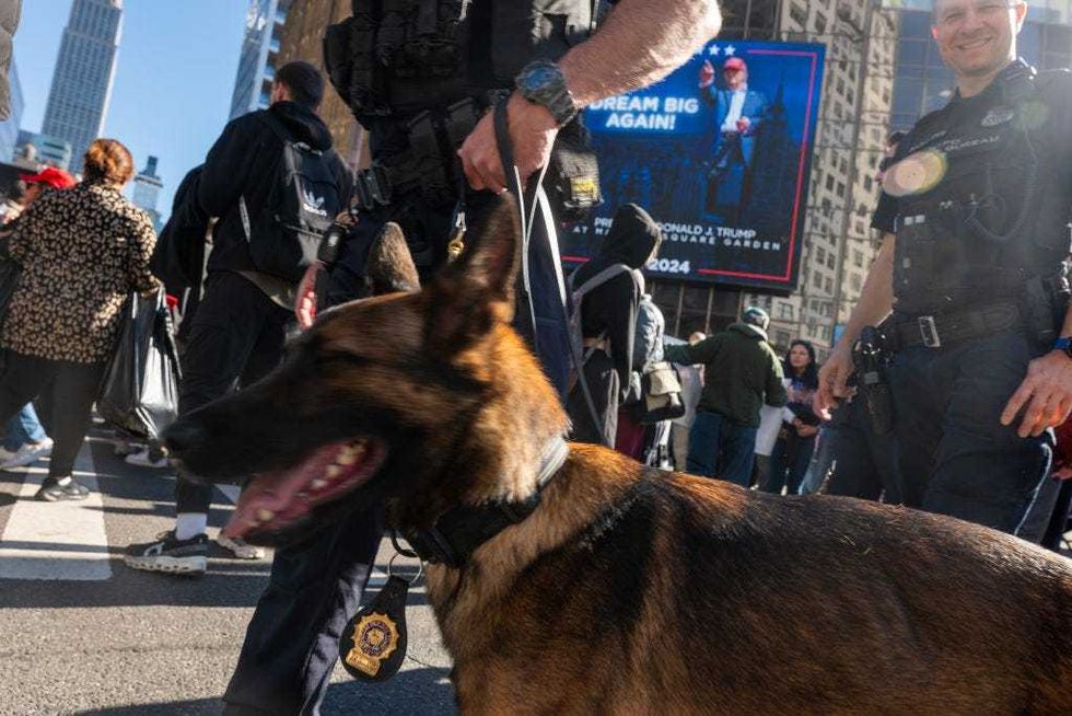 Police stand guard as people line up to see former President Donald Trump speak at Madison Square Garden during a campaign rally on Oct. 27, 2024 in New York City.