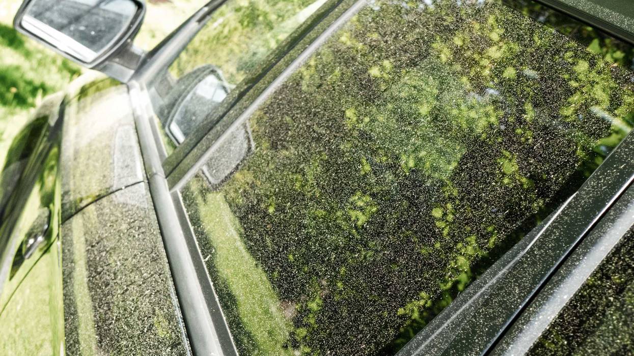 pollen car