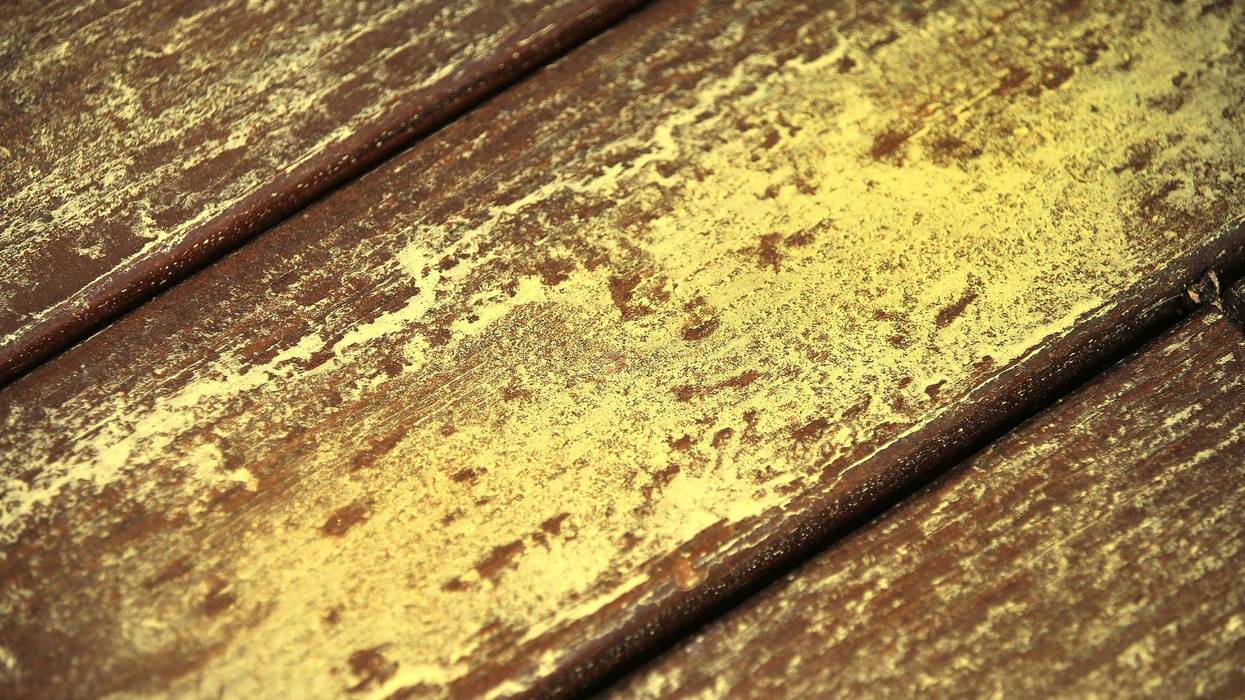 Pollen from pine trees covers a deck in Pembroke, Massachusetts, June 7, 2022.