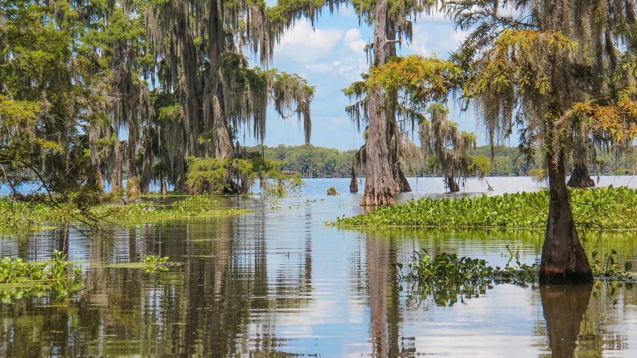 Ponchatoula lawmaker wants moratorium on Lake Maurepas carbon storage