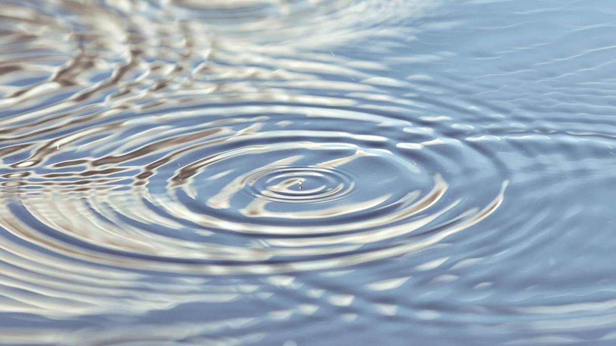 pond ripple in water
