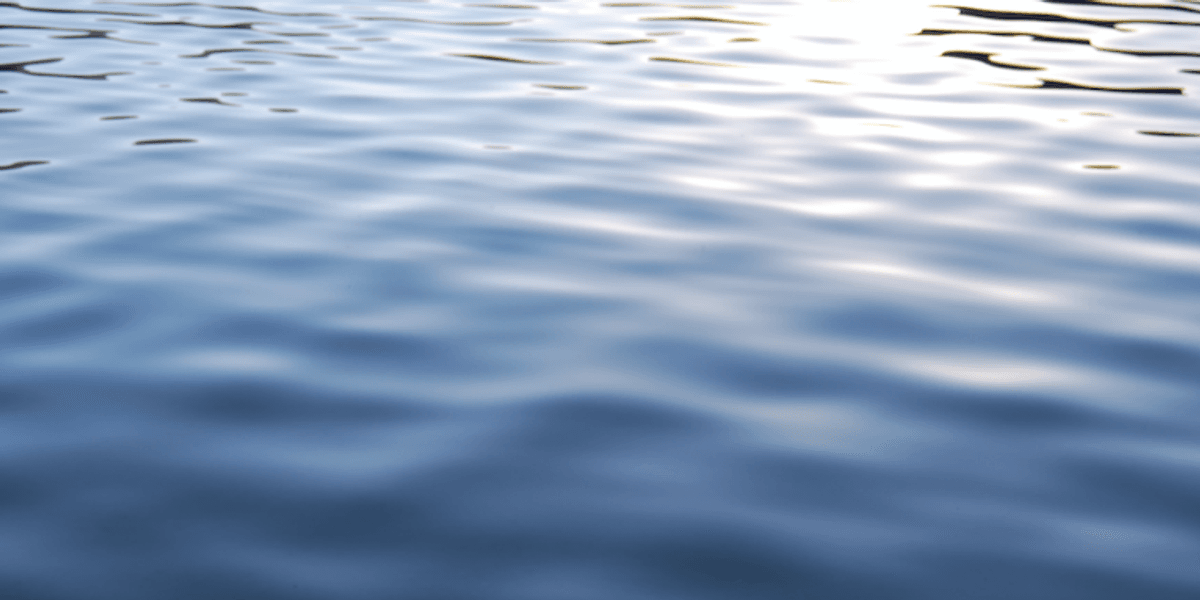 EnCon police investigate pond death