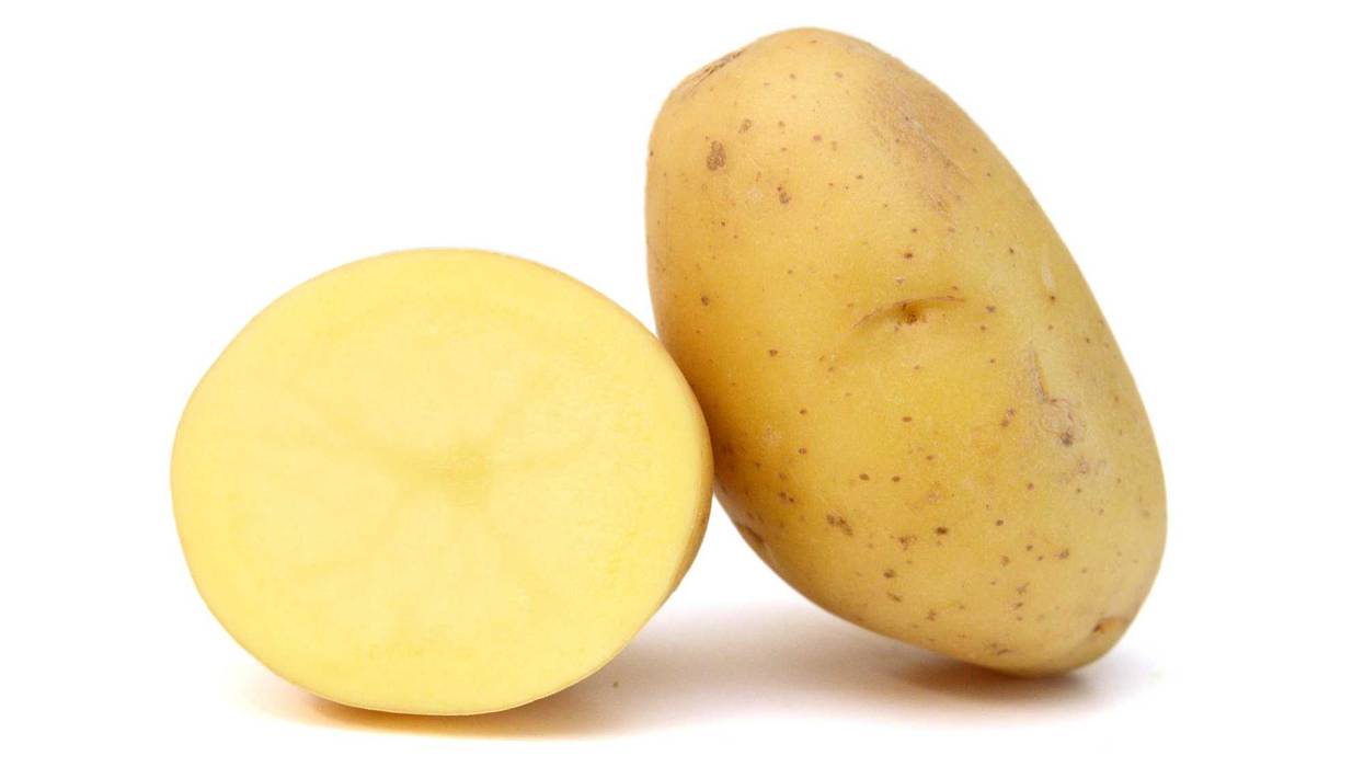 Potato