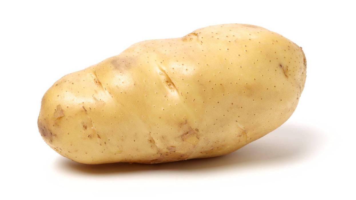 Potato