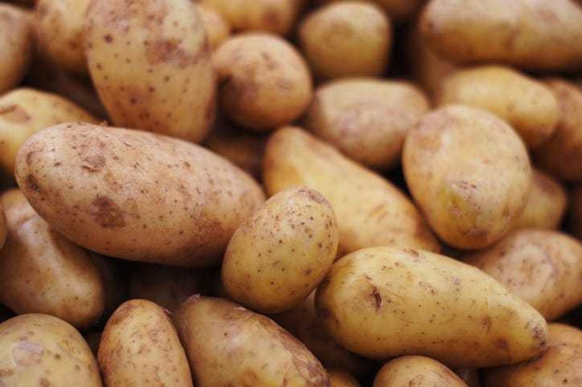 Potatoes.