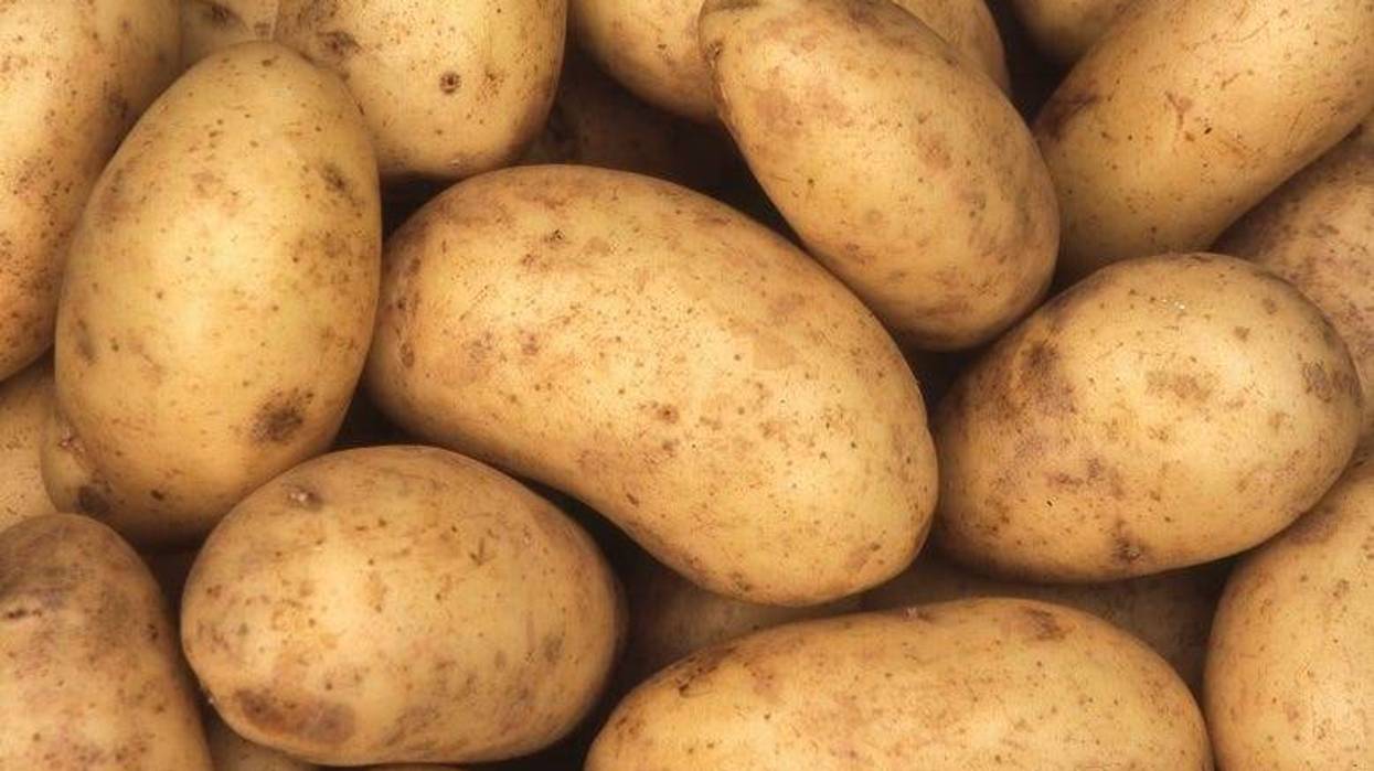 potatoes