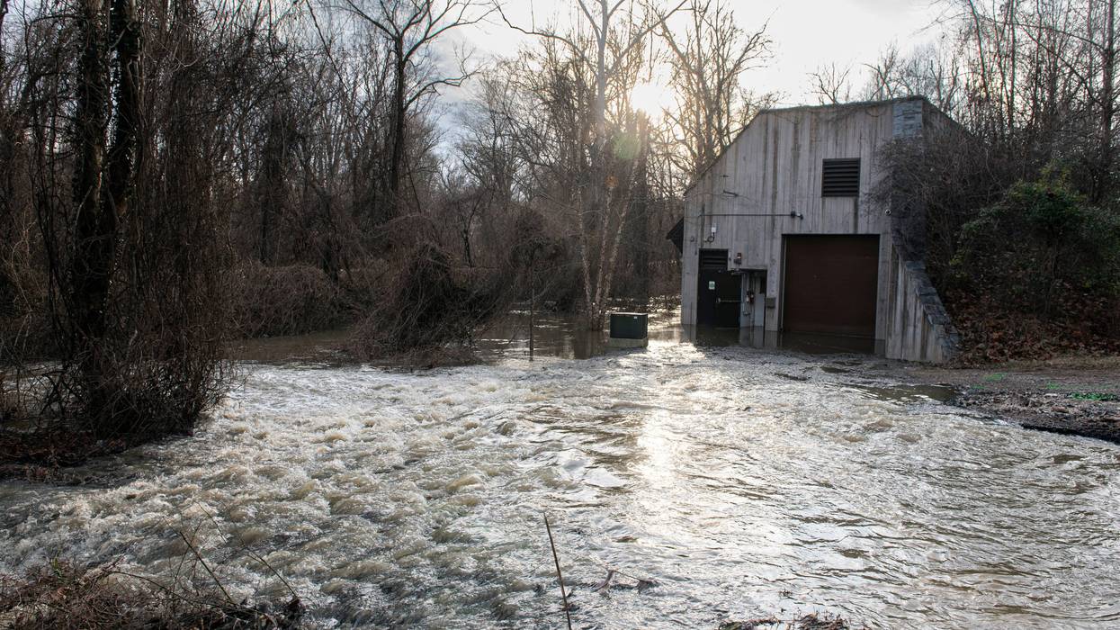 Potomac River Sewage