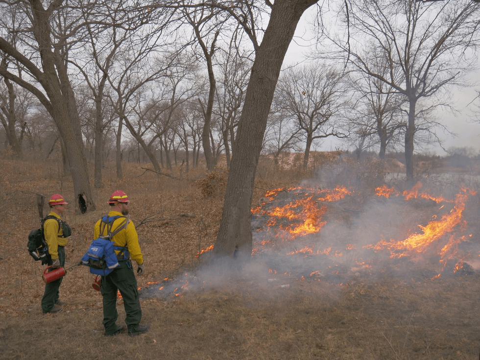 Prescribed fire in the Indiana Dunes National Park