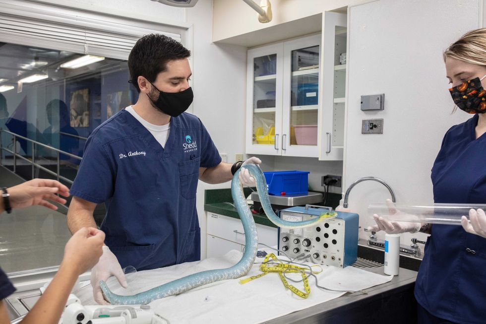 Preventative care for aquatic animals isn