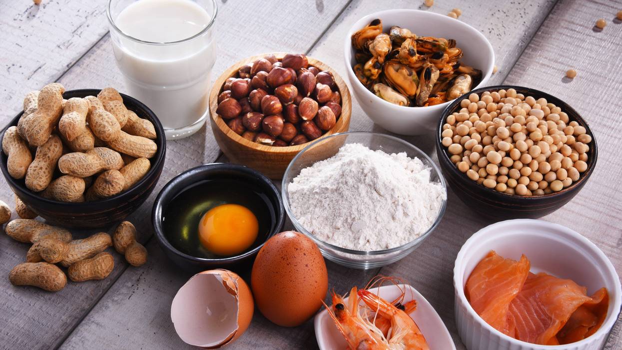 primary food allergens like eggs, peanuts, salmon, shrimp, flour, soy, hazelnuts, peanuts, shellfish