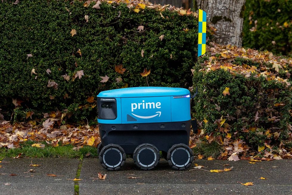 prime marked delivery bot