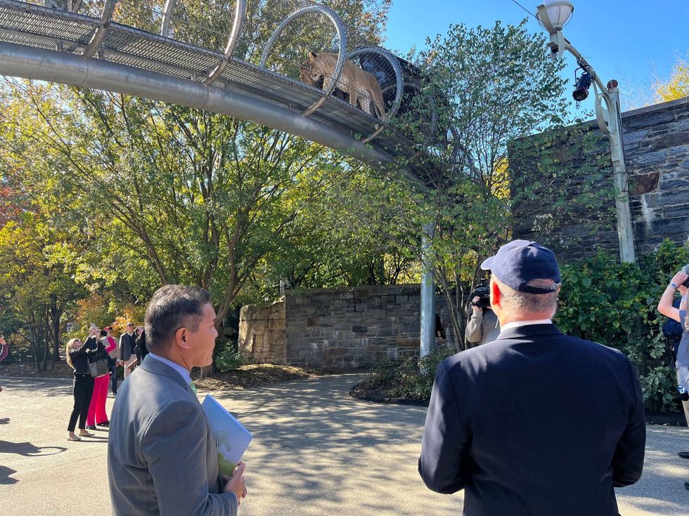 Prince Albert II (right) looks up at the lions watching him from the Zoo360 overhead trail.