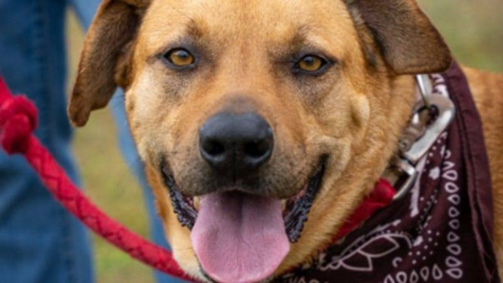Prince Charming @ Austin Humane Society 3/01/23