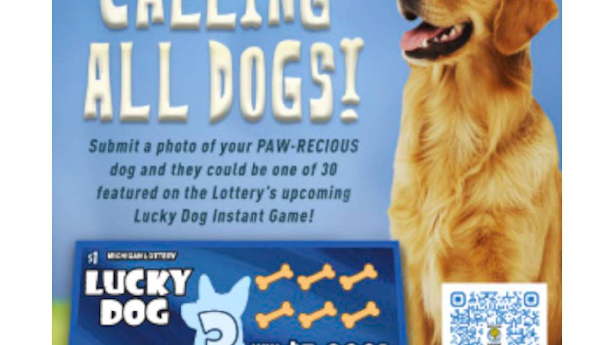 Promotional photo for Lucky Dog contest