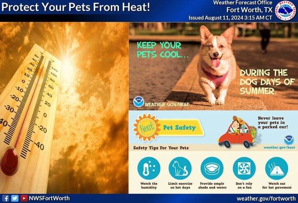 Protect pets from heat