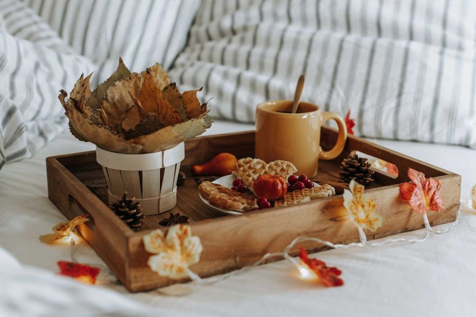 Pumpkin in bed