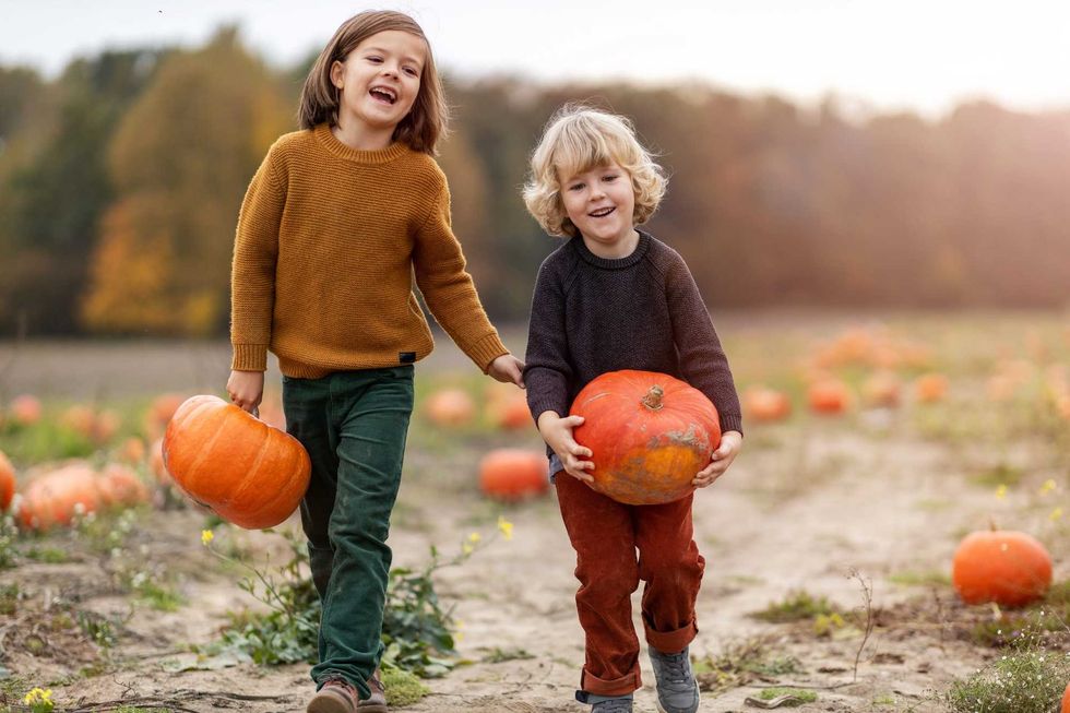pumpkin picking