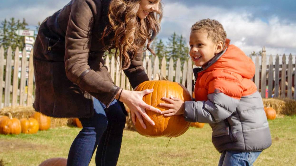 pumpkin picking